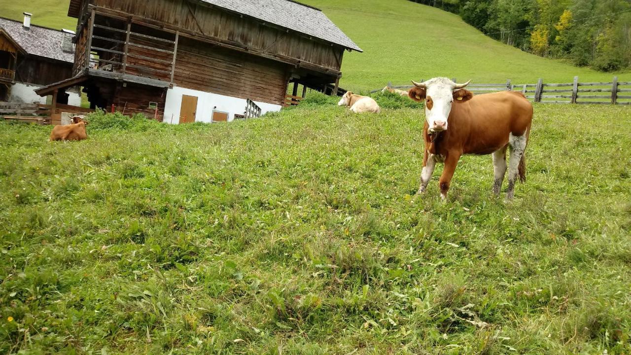 Agriturismo La Flu Сан-Мартино-ин-Бадия Экстерьер фото